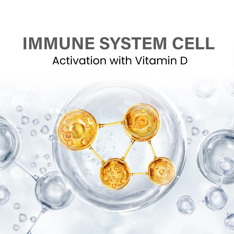 Immune System Cell Activation with Vitamin D